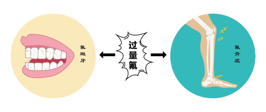 1013-1-1.jpg 1013-1-1.jpg